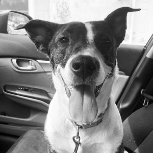 Meet your Posher, Andrew